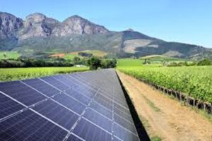Solar Powered Winery