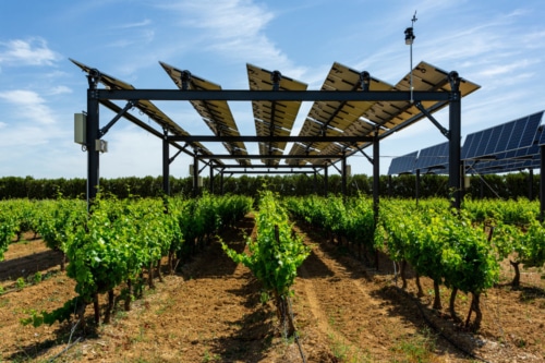 Agrivoltaics is the combination of solar power and farming on the same land. 