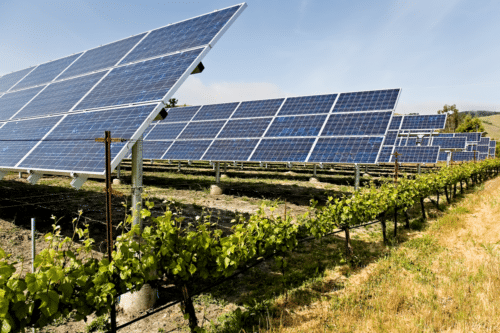 Dozens of wineries in Sonoma County are going solar! 