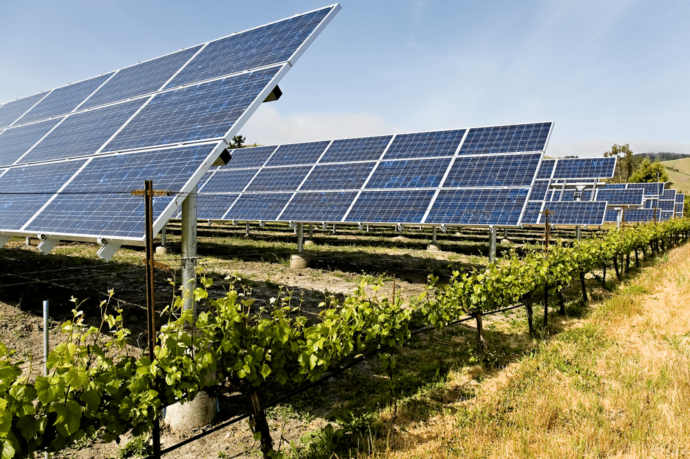 Sonoma County Commercial Solar