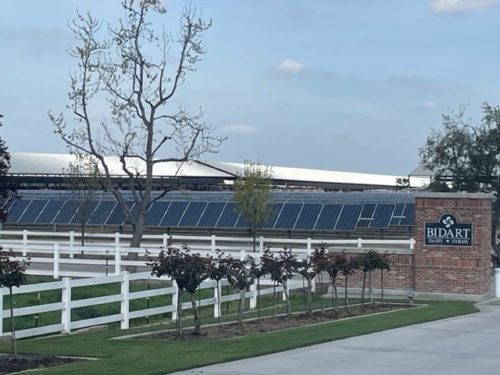 Bidart Farms in Bakersfield is one of many dairy farms lowering their operating costs with solar power