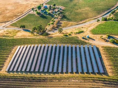 Large wineries in Paso Robles can benefit from our digital request for solar proposal (RFP)